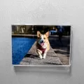 U Tipi Dikey Mıknatıslı Square Square 5"x5" - 13x13 cm Fotoğraflık - 5 Lİ PAKET