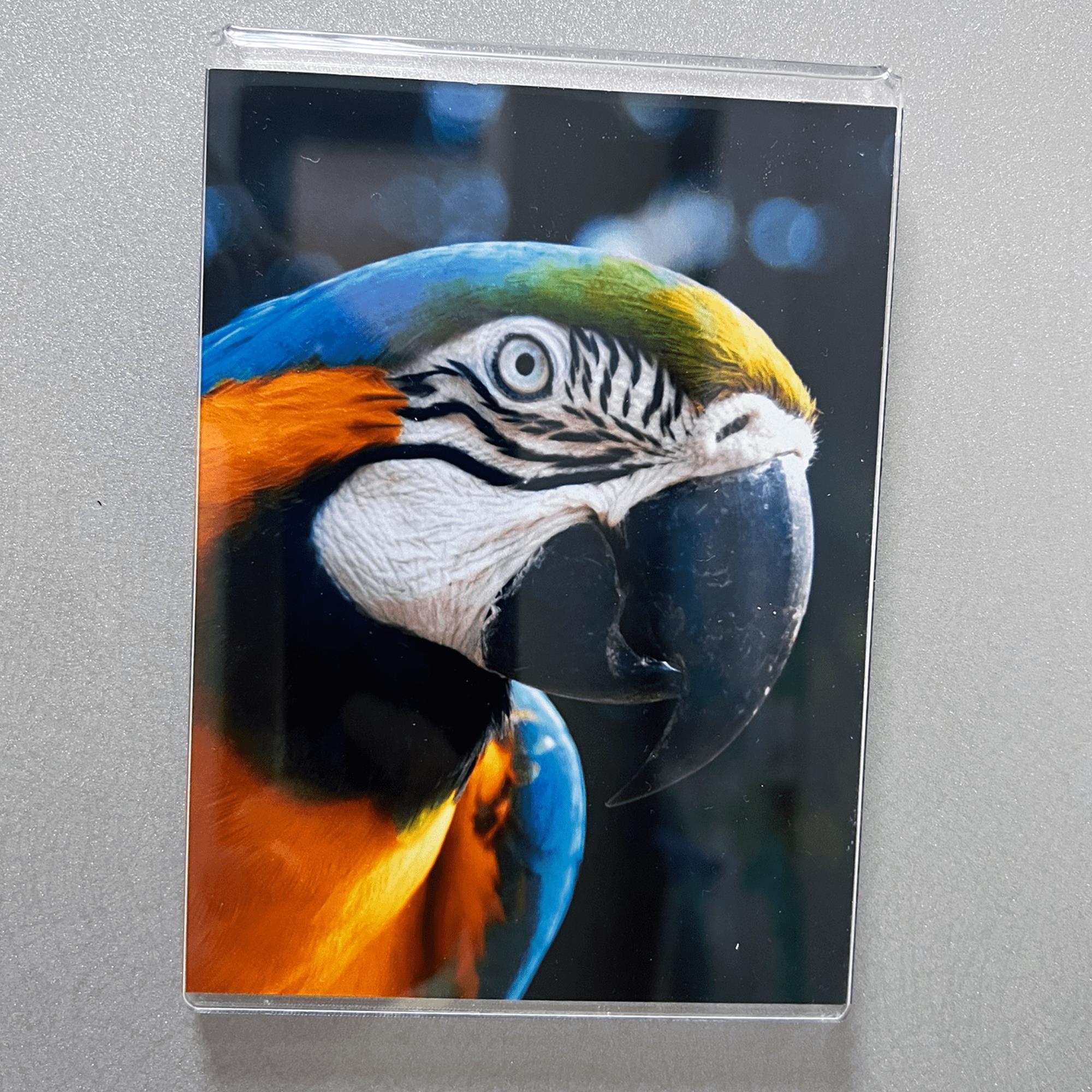 U Tipi Yatay Mıknatıslı Card 2,17"x3,58" - 5,5x9,1 cm Fotoğraflık - 5 Lİ PAKET - Görsel 5